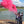 Family  and Friends gather around the lake to announce it's a girl with our pink gender reveal powder cannon 