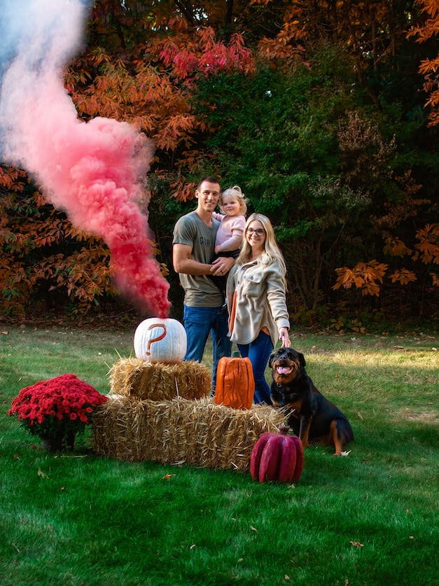 Pink Handheld Gender Reveal Smoke Bomb